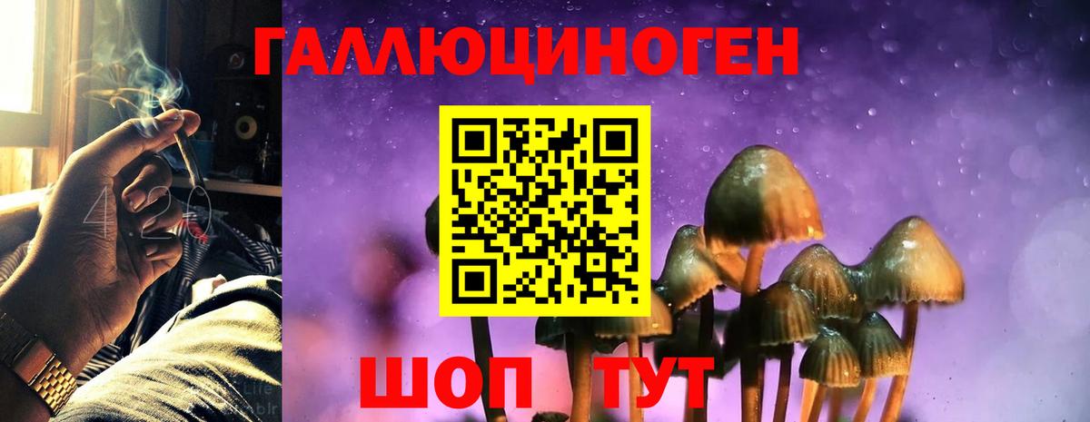Анжеро-Судженск  Галлюциногенные грибы прущие грибы  Вход с VPN 